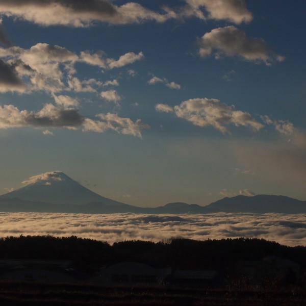 OLYMPUS DIGITAL CAMERA